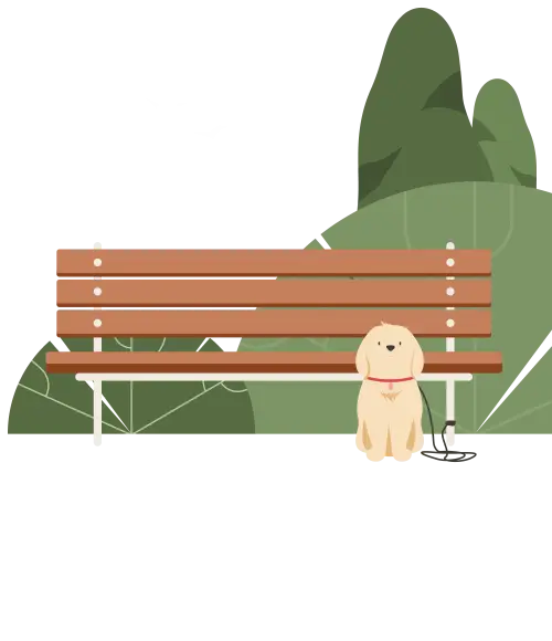 blog single image