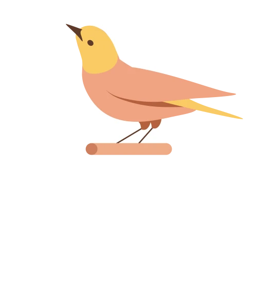 blog single image